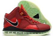 LeBron James 8-005